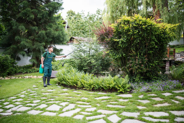 Best Commercial Pest Control Services  in Bergenfield, NJ