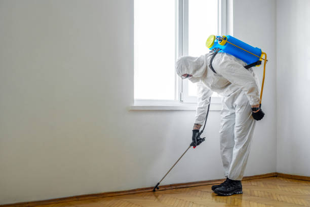 Best Affordable Pest Control Services  in Bergenfield, NJ
