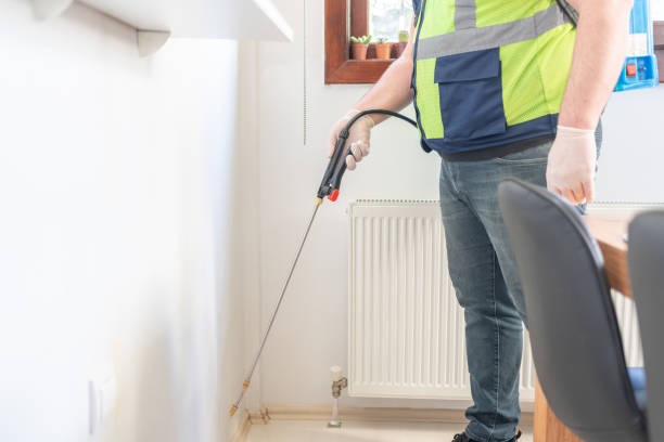 Best Cockroach Control Services  in Bergenfield, NJ