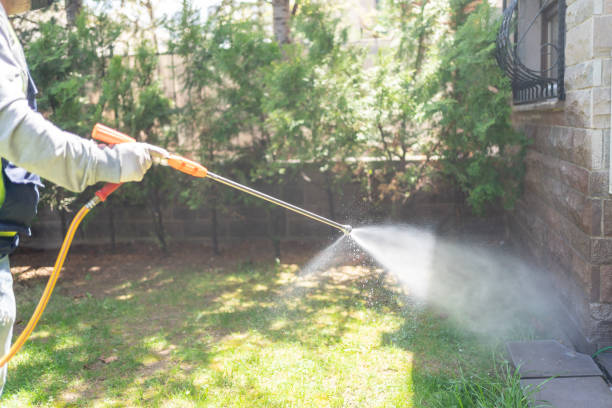 Best Best Pest Control Companies  in Bergenfield, NJ