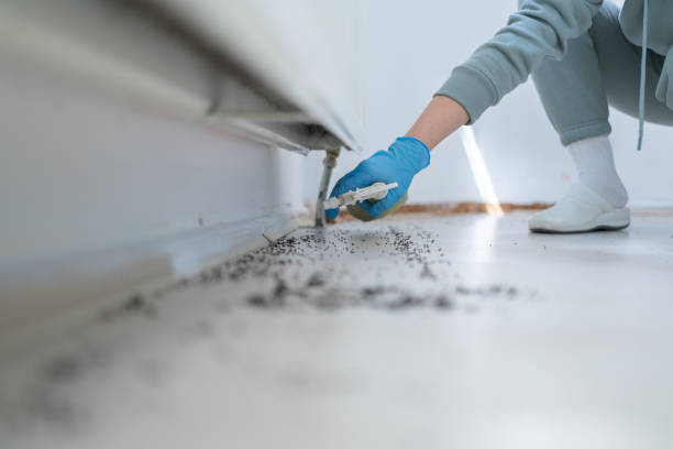 Professional Pest Control in Bergenfield, NJ