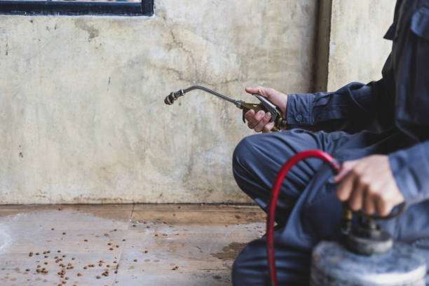 Best Emergency Pest Control  in Bergenfield, NJ